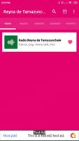 radio reyna de tamazunchale MX poster