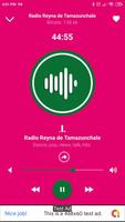 radio reyna de tamazunchale MX Ekran Görüntüsü 1