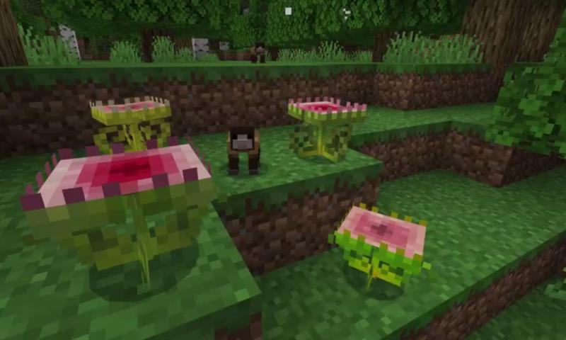 Carnivorous Plant Mod For Minecraft Pe安卓下载 安卓版apk 免费下载 Carnivorous Plant Mod For Minecraft Pe安卓下载 安卓版apk 免费下载