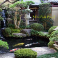 Mini Fish Pond