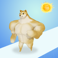 Doge Run
