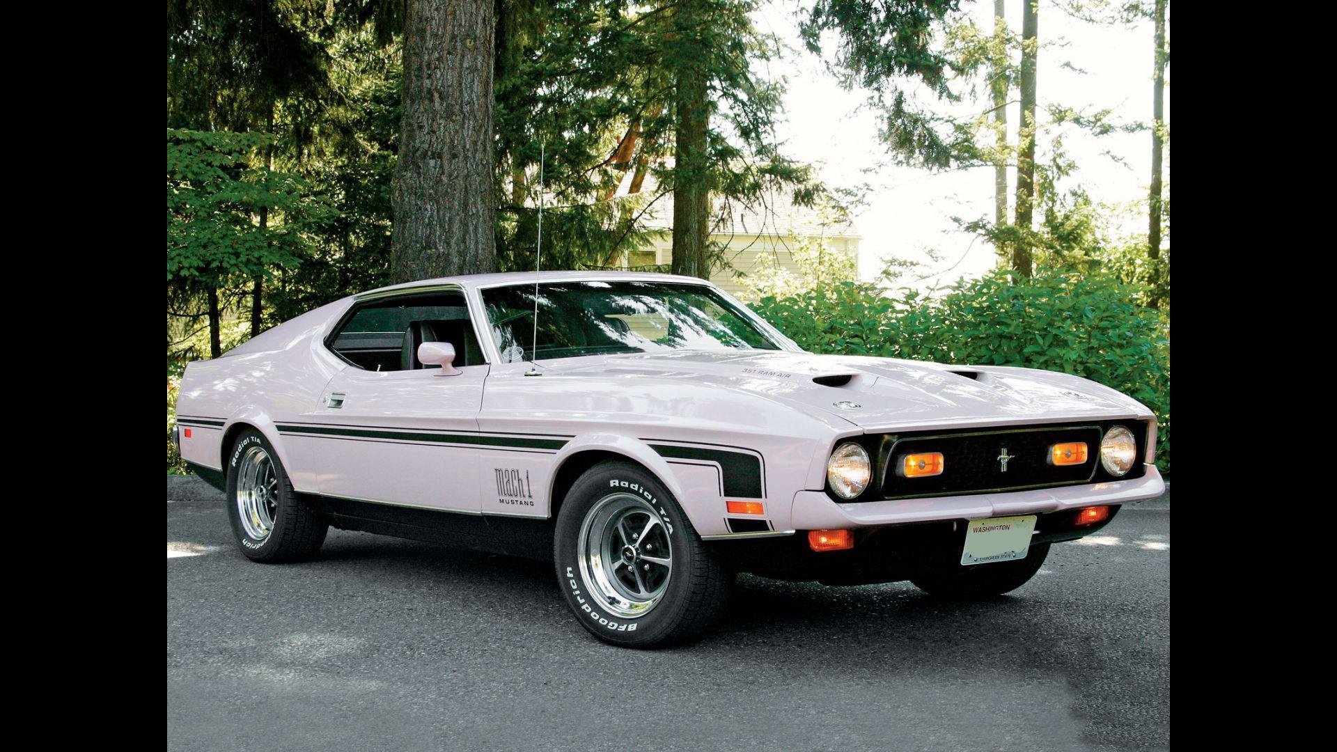 American Mustang Hd Wallpaper