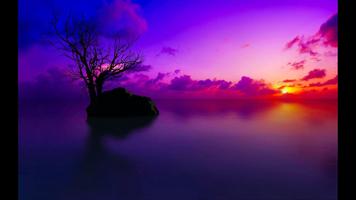 Sunset. Nature Wallpapers imagem de tela 1