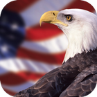 American Eagle Wallpapers icône