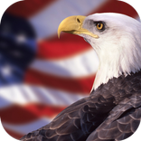 American Eagle Wallpapers