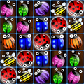 Insect Splash