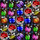 Insect Splash APK