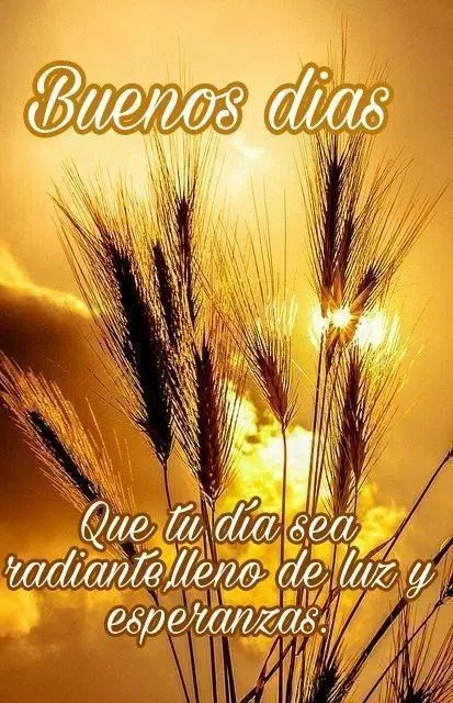 feliz domingo Buenos días ; noches ; buenas tardes APK pour Android Télécharger domingo feliz domingo Buenos días ; noches ; buenas tardes APK pour Android Télécharger