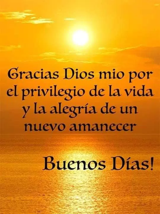 feliz domingo Buenos días ; noches ; buenas tardes APK pour Android Télécharger feliz domingo Buenos días ; noches ; buenas tardes APK pour Android Télécharger
