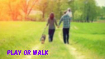 Play or Walk poster