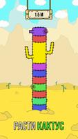 Cactus, Сactus! постер
