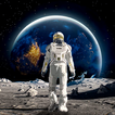 Moon Survival: Under the Stars