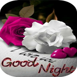 Good Night Pictures 2024