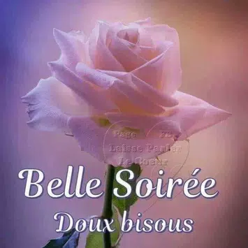 Bonsoir Images Et Phrases For Android Apk Download