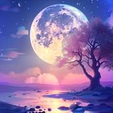 月光下的动态壁纸 APK