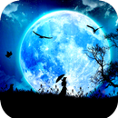 Moonlight Wallpaper 4K APK