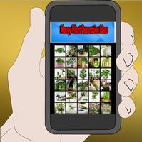 money plant decoration ideas Screenshot 1