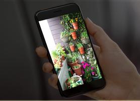 money plant decoration ideas Screenshot 2
