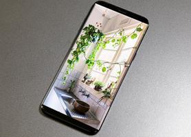 money plant decoration ideas Screenshot 3
