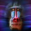 Monkey Live Wallpaper