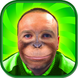 Cara De Mono - Editor De Fotos De Animales icono