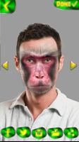 Affengesicht Kamera - Tier Gesicht Bildbearbeitung Plakat