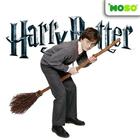 Harry Potter Fly-icoon