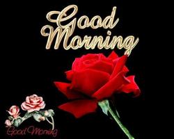 Good Morning images GIF imagem de tela 3