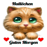 Guten morgen gute nacht