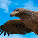 Eagle Hunt APK