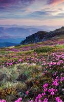 Mountain Flower Live Wallpaper скриншот 3