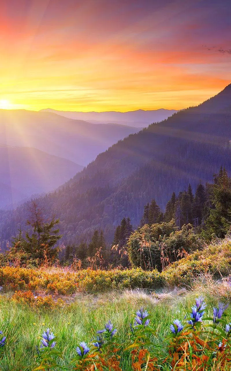 Tải xuống APK Mountains Live Wallpaper cho Android Tải xuống APK Mountains Live Wallpaper cho Android