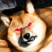 Backrooms Buff Doge Horror biểu tượng