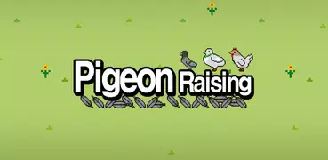 Pigeon Raising