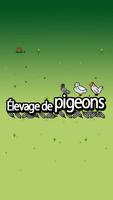 Élevage de pigeons Affiche