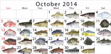Fisch Planet Kalender
