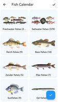 Fish Planet Calendar 截圖 1