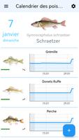 Planète poissons Calendrier Affiche