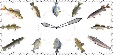 Fischers Uhren