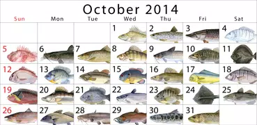 MP Fishing Calendar