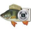 MP Fishing Photo Widget APK