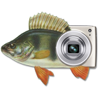 MP Fishing Photo Widget icon