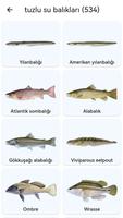 Balık gezegeni Ekran Görüntüsü 2