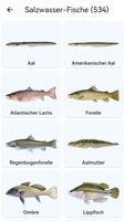 Planet der Fische Screenshot 2