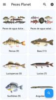 Planeta de los peces Poster