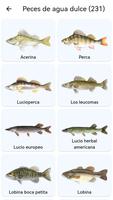 Planeta de los peces captura de pantalla 1