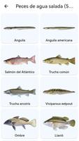 Planeta de los peces captura de pantalla 2