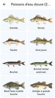 Planète des poissons capture d'écran 1