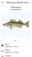 Planète des poissons capture d'écran 3