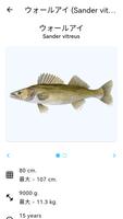 魚の惑星 スクリーンショット 3